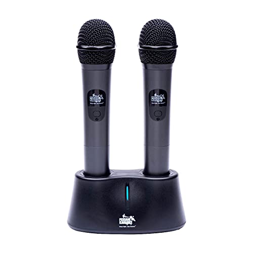 Image of Smart PK-8173 with Two Wireless Mics | 5001 Songs (4015 Hindi Song)
