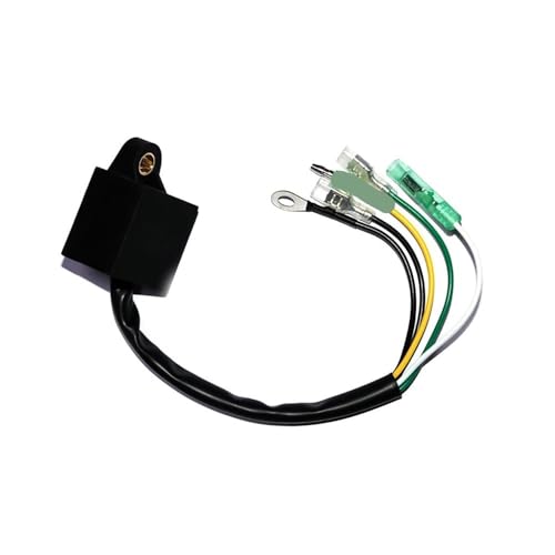 Boîtier 2.5F : fin des pannes de moteur 2.5 CV 2 temps - 2