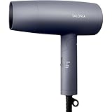 SALONIA サロニア スピーディーイオン ドライヤー 大風量 速乾 軽量 マイナスイオン ヘアドライヤー SL-013AGR グレー【Amazon.co.jp限定】