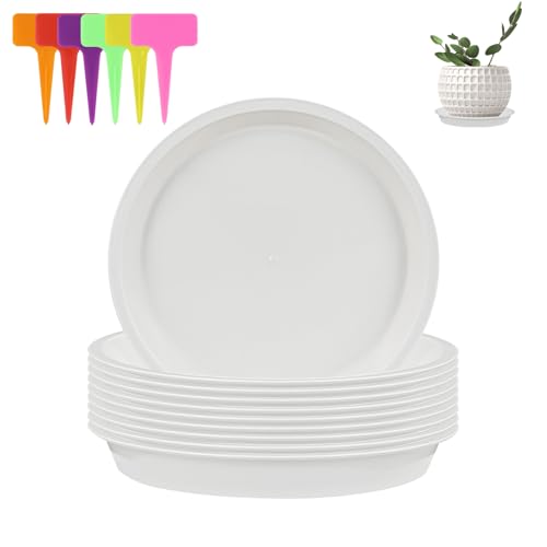 alwaiiz 10 Stück Untersetzer Blumentopf Rund, Kunststoff Topfuntersetzer Pflanzen und 6 Stück Pflanzenetiketten, Pflanzen Untersetzer für Innen- und Außenpflanzen