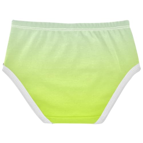 Joisal Toddlers Underwear Floral 2t Cotton Panties for Girl Stylish Underpants Briefs Lime Green Blue Gradient2