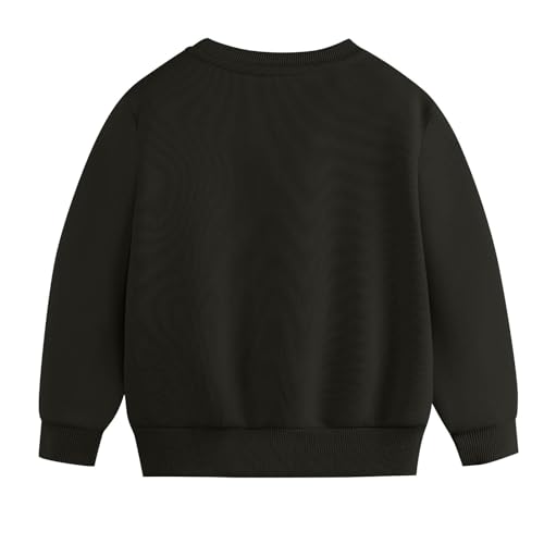 Girls Boys Sherpa Lined Sweatshirt Toddler Kids Winter Warm Fleece Lined Pullover Crewneck Casual Sweatshirts4