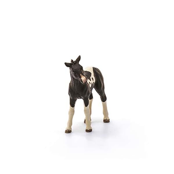 schleich 13803 Pinto Fohlen, für Kinder ab 3+ Jahren, FARM WORLD - Spielfigur – Bild 4