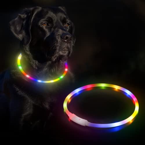 NEW Leuchthalsband Hund,Leuchthalsband für Hunde USB Aufladbar,Hundehalsband Leuchtend Halsband für Hunde Einstellbare Größe Sicherheit,4 Modi Halsband Hund Helle Sicherheit für Hunde und Katzen,Farbe Cover