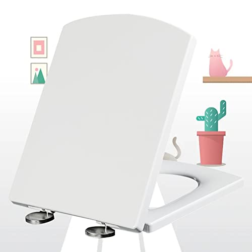 gCV[g zCgV[g \tgN[Y ϋv R XNGA^W p XeX ߉\qWt