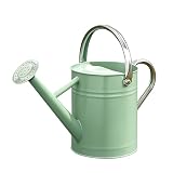 SunnyTong Metal Watering Can for Outdoor and Indoor Plants, Watering Can Decor, 1 Gallon (Cream Green)