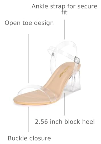 Image of Women's Clear Chunky Block Nude Clear Heeled Sandals 2.56 Inches Open Toe Ankle Strap Block High Heel Sandal Dress Dancing Sandals Daily Work Party Shoes Nude Clear Size 9