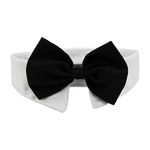 2 Piezas Corbata Formal del Gato Perro Perrito Gatito Cover