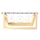 Enwye Anzuchtstation Mit Vintage-Holzständer Und Drehbarem Metallstab Für Hydrokulturpflanzen, Tisch-Pflanzgefäß Aus Glas, Blumenzwiebelvase, Holzfarbe