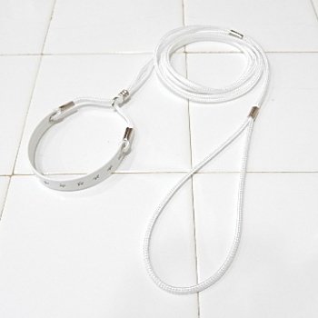 SkipDog! X^[Cv`C[h (zCg) / ` ^ ׂ [h