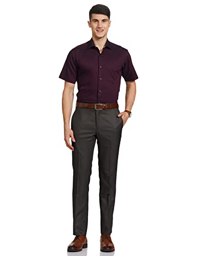Image of Raymond Men Pants