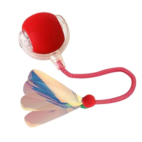 Jinmoioy  {[ [O   d `[C  p{[ [O C^NeBuL{[ USB Type-C 360x] (bhA)