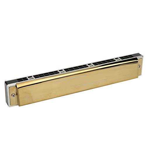 Clé de l’orgue à bouche Harmonica diatonique à 24 trous G avec étui pour étudiants adultes débutants(Golden G #Key) - Les Beatles, Paul McCartney, John Lennon, RIngo Starr, George Harrison Clé de l'orgue à bouche Harmonica diatonique à 24 trous G avec étui pour étudiants adultes débutants(Golden G #Key) – Image 7
