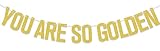You're so Golden Banner Gold Decoration for Kid's Birthday Golden 1st 10th 13th 18th Birthday Party Decoration Gold Glitter