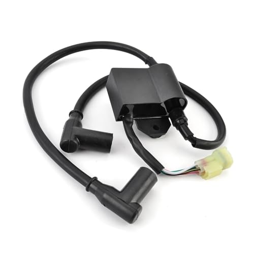 Bobine d'allumage 420965591 pour résoudre les ratés moteur sur MXZ