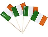 JBCD Ireland Toothpick Flag Irish Mini Small Cupcake Topper Flags (200 pcs)