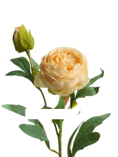 GL]`bNȃhCt[u[P̑N₩ȃỏA5̎}lHԑAe[uZ^[ɓKABe[Wz[t[fR[VAWgiԕrȂjij