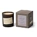Paddywax Library Collection Louisa May Alcott Scented Soy Wax Candle, 6.5-Ounce, Cherry Blossoms & Ivy