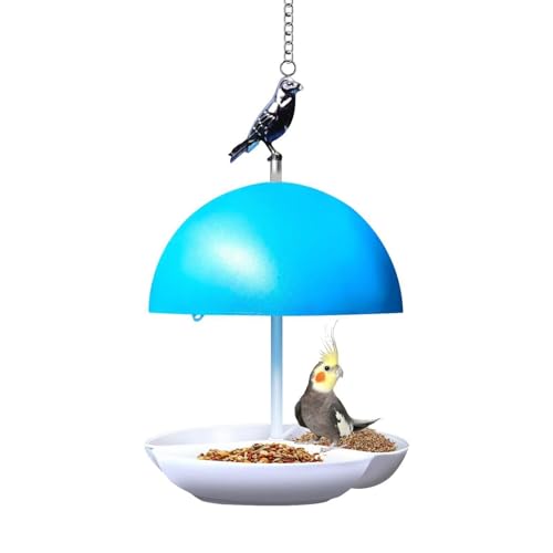 Alimentador De Pájaros De : Dispensador De Semillas Suspendidas, Techo Protector Anti -luidious | Tazón De Agua para Aves Silvestres, Estanque Al Aire Libre, Decoración para Jardín, Terraza Y ESPA