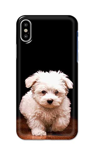 Image of PRINTFIDAA� Printed Hard Back Cover Case for Apple iPhone X | iPhone 10 | iPhone Xs | iPhone 10s Back Cover (Puppy Dog) -2808