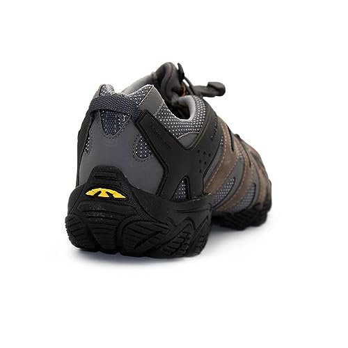 Tênis Bull Terrier Dragon III