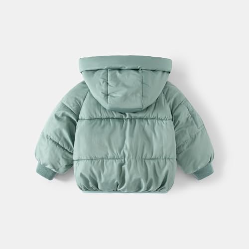 wodceeke Toddler Boys Girls Down Puffer Jacket Winter Coats with Hood Kids Lightweight Hooded Padded Warm Outwear2