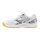 Mizuno