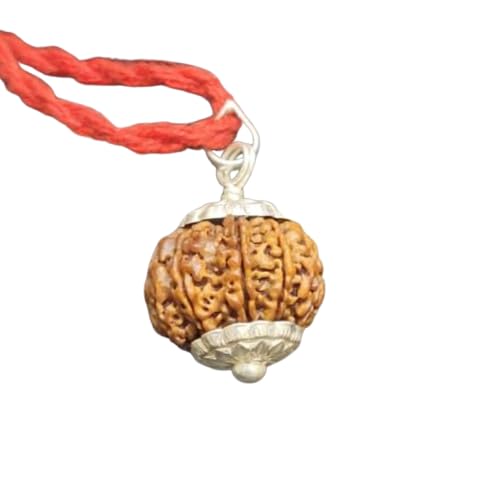 9 Mukhi Rudraksha Original Certified Nepali Big Size 18mm 9 मुखी ...