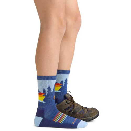 Darn Tough (Style 3037) Junior's Van Wild Micro Crew Lightweight with Cushion Sock3
