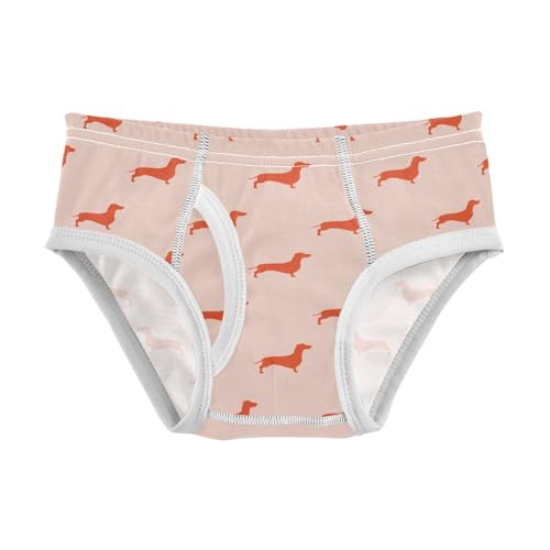 Cotton Little Boys Briefs Dachshund Soft Toddler Underwear - Main Image