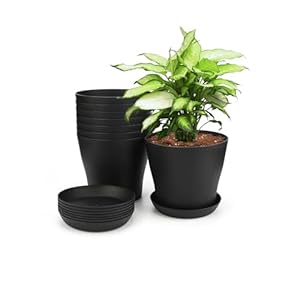 KINGLAKE 8 Stück 14cm Blumentöpfe Mit Loch, Klein Töpfe kakteen, Kunststoff Pflanztöpfe Rund, Blumentopf Mit untersetzer Für Büro Balkon, Schwarz