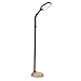 Produktbild EASYmaxx 06612 LED-Standleuchte Daylight | Tageslichtlampe, Augenschonend, Energiesparend | flexibler Lampenhals, Buche