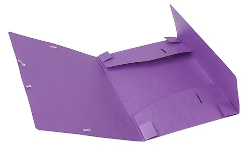 Exacompta 14015H Packung mit 10 Archivboxen Cartobox, 24 x 32 cm, 40 mm Rücken, mit Gummizug, mit Rückenetikett, violett, 10 Stück