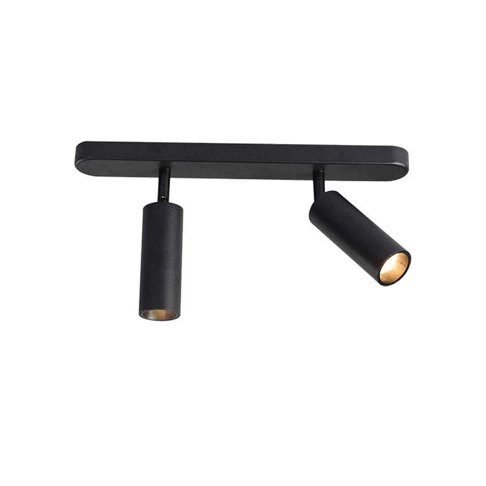 LED Ceiling Spotlight 2-Light Surface Mounted Accent Spot