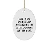 Adorno ovalado de ingeniero eléctrico, regalos para hombres, amigos, compañeros de trabajo, ingeniero eléctrico, regalos únicos de Navidad, no discutir solo explicando por qué estoy bien, adorno