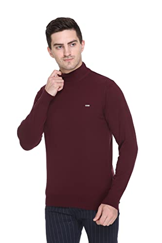 Image of GODFREY Woolen Full Sleeve Sweaters for Men Winter Wear - Turtle Neck Pullover for Men Stylish