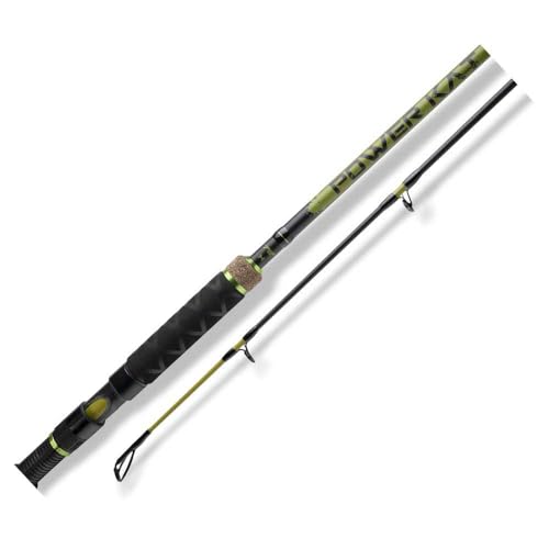 Catfish Fishing Rod Catfish Fishing Rod Selection: Heavy-Duty Requirements &#038; Options