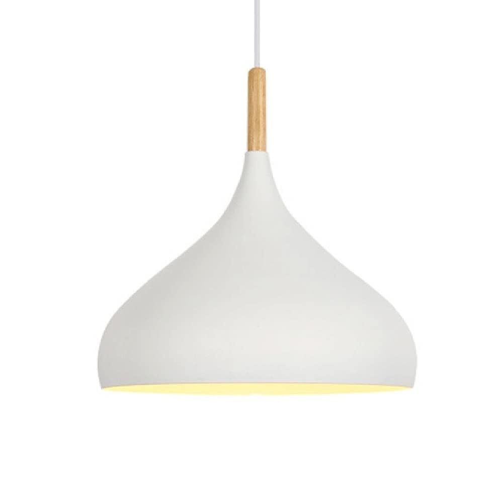 KXEcoLife Creative Bohemian Hanging Lights Led Single Head Hollow Pendant Lamp Household European Ceiling for Kitchen Island Dining Room Bedroom Hallway(White,16.5in*16.5in)
