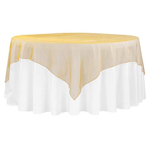 Rcz Decor 5467US Organza Table Overlay cover