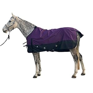 Horse Turnout Blanket 1200D Waterproof Winter Warm Horse Carpet Essential Standard Neck Horse Care Rug (Sky Blue 74) (Dk.purple 76)