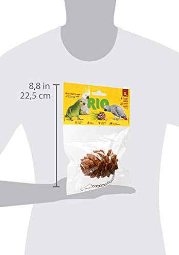 Rio Cedar Cone. Natural Treat for Birds, 55 g, Sunshine Yellow - Afbeelding 4
