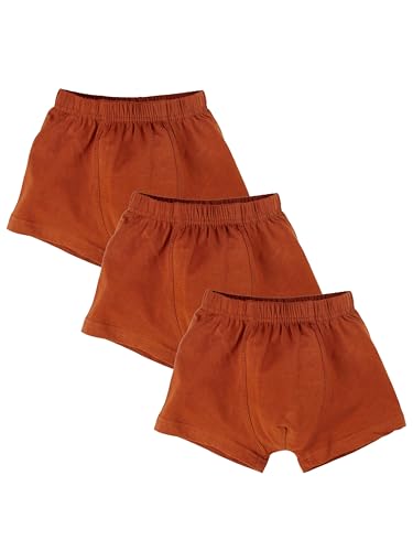 Image of KiddoPanti Boys Boxer Shorts Pack of 3 | Soft Cotton-Lycra Blend | Comfortable Fit with Bio Wash for All-Day Comfort | Kids Briefs