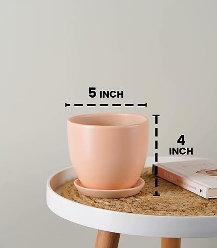 Image of Nurturing Green Set of 2 Modern Blush Pink Ceramic Pots for Home & Indoor Decor (Size: 5 Inch Wide | Comes with Bottom Plate) - [Plants are not Included]