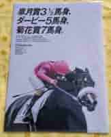 ドウデュース クリアファイル ヒーロー列伝 JRA ヒーロー列伝 クリアファイル ドウデュース Do Deuse JRA