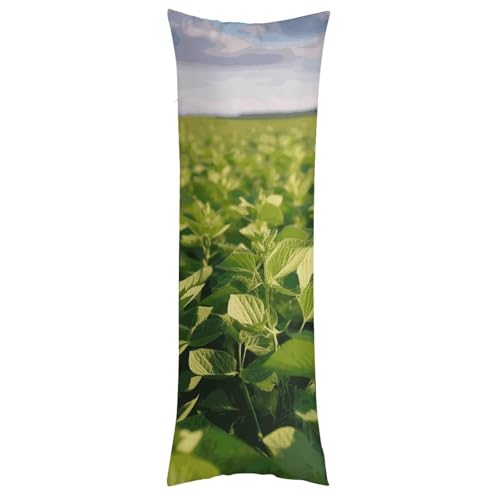 Housses de coussin polyester imprimé champ de soja 50,8 x 127 cm douces