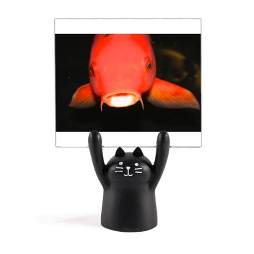 Cm̐Ԃ J[gD[LX^h^z_[