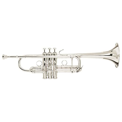 Bach Trumpet (C180SL229CC)