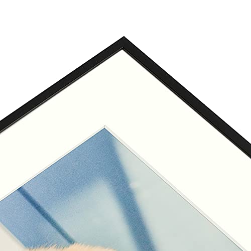 Auear, 16X20 Aluminum Picture Frame Set Of 6, Made To Display Pictures 11X14 With Mat Or 16X20 Without Mat, Wall Gallery Metal Photo Frames (Real Glass, Black) #TOP7