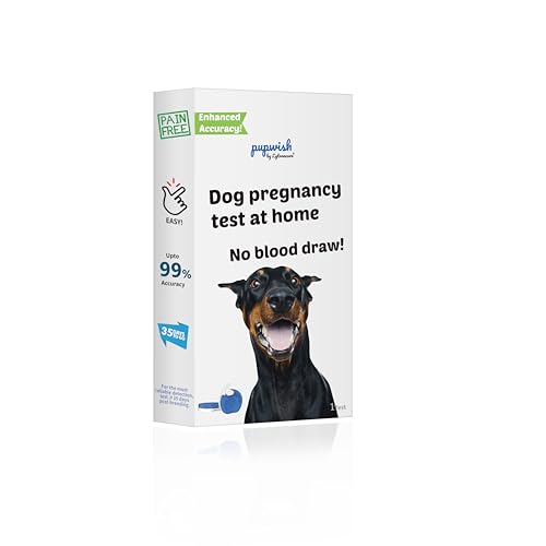 Image of Dog Pregnancy Test Kit at Home- 5-Min Results, Painless & Clean (No Blood Draw), 99% Accurate for Breeders & Owners