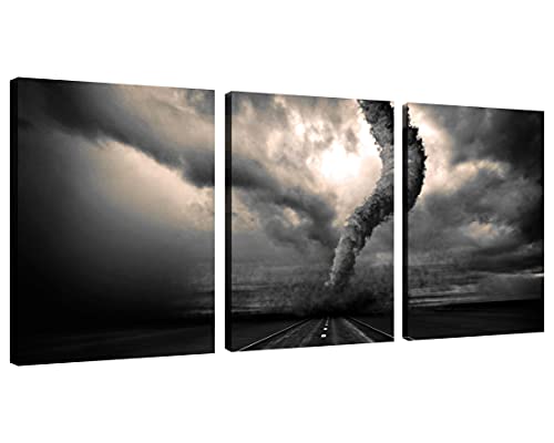 Black and White Tornado Canvas Tornado on the Road Pictures